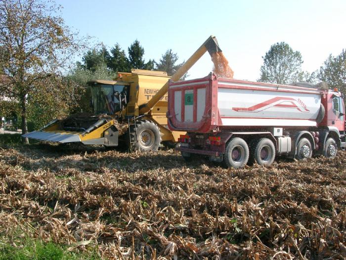 Iveco Trakker scarico