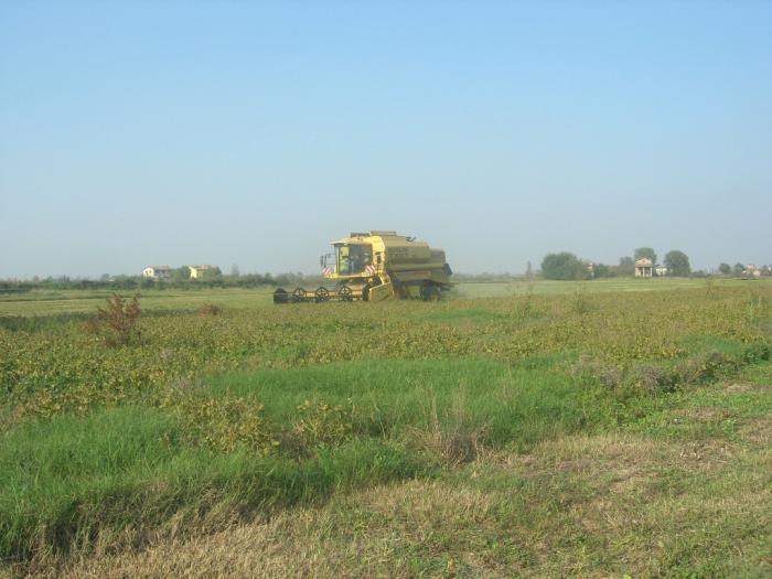 new holland Tx67