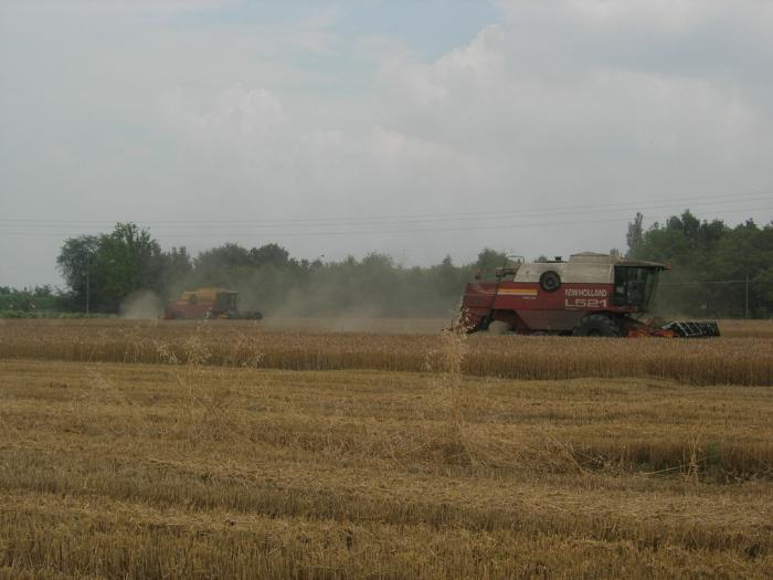 new holland L521 e L523