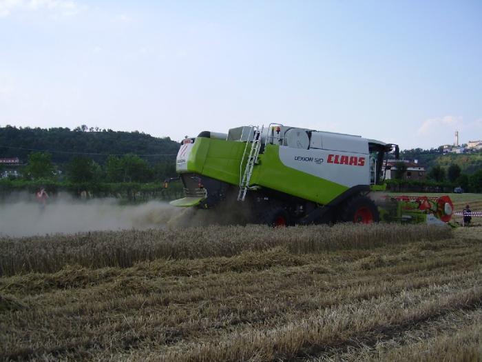 fiera della carbonara