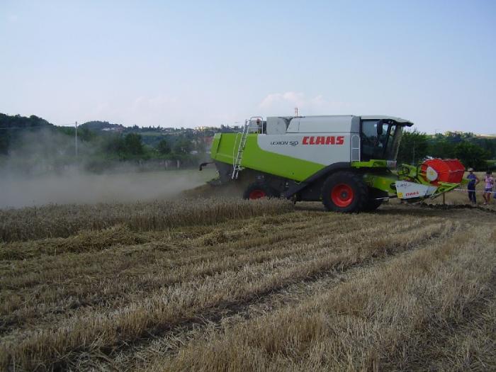 fiera della carbonara