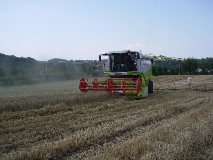 fiera della carbonara