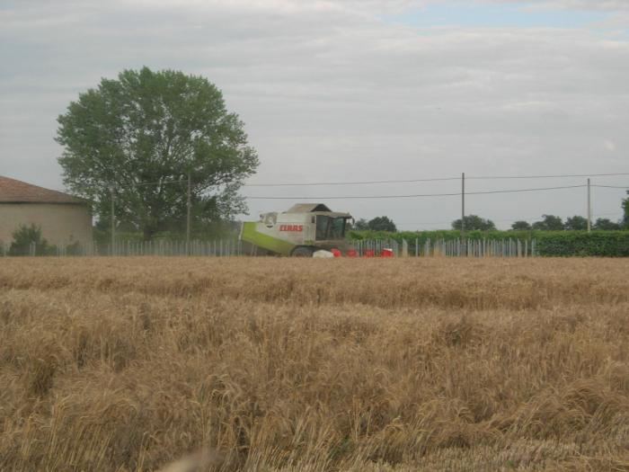 claas lexion 420
