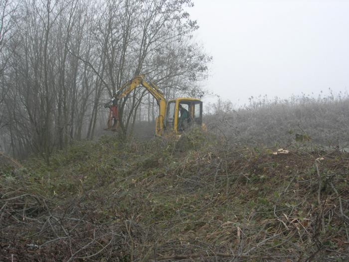 la macchina delle foreste