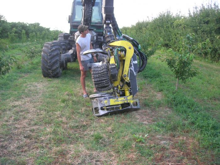 pinza del timberjack