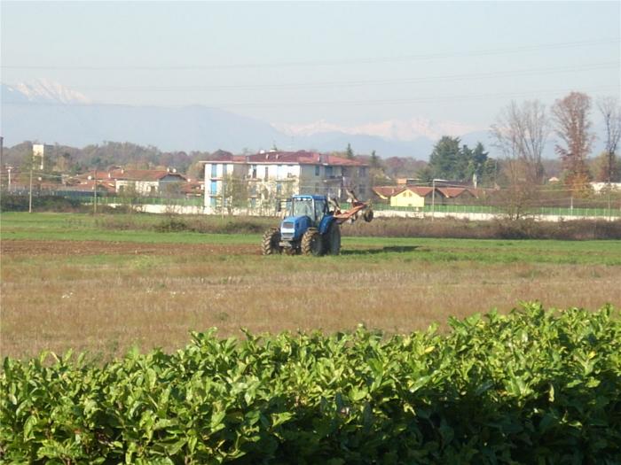 Landini in Aratura