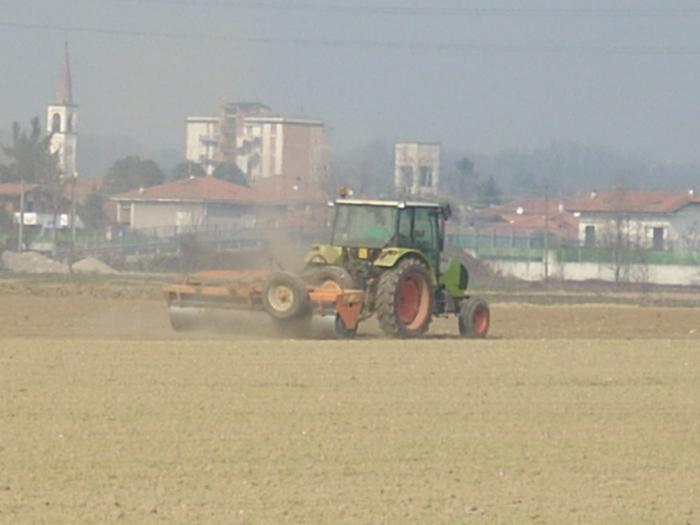 Claas Celtis 445 rullatura