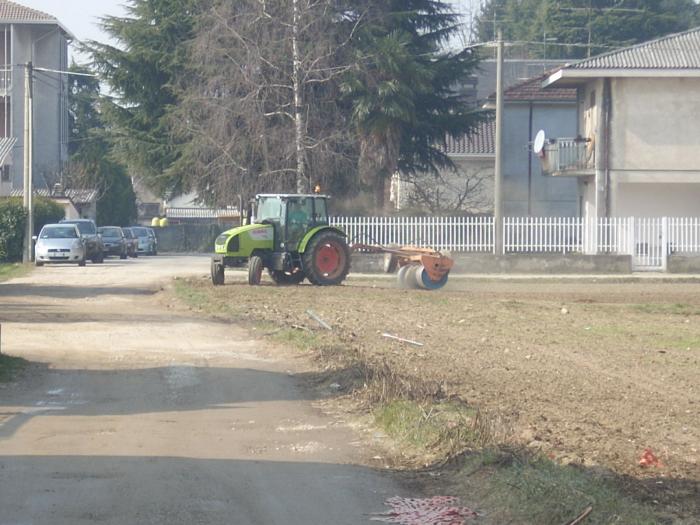 Claas Celtis 445 rullatura 3