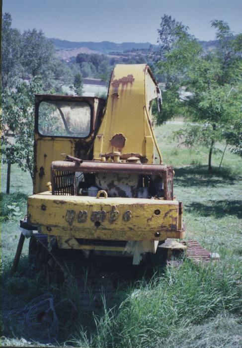 Bruneri cigolato