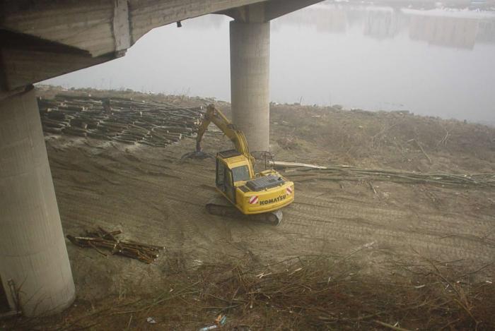 sistemazione rive Ticino(Pavia)