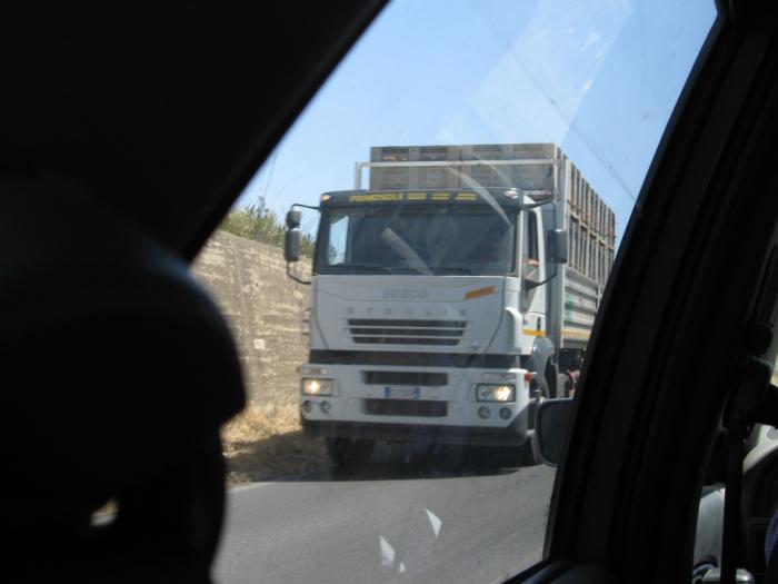 iveco stralis