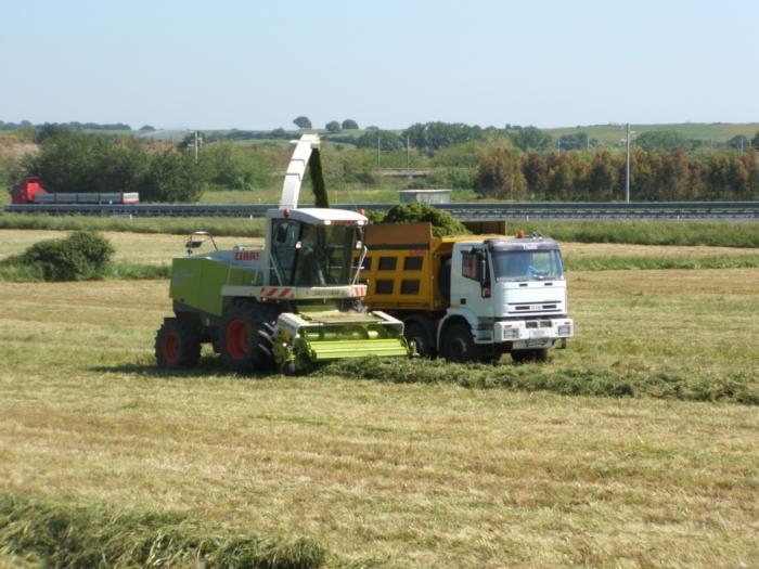 trincia calss 890 di manuele- eurotrakker 410e42 di calimero