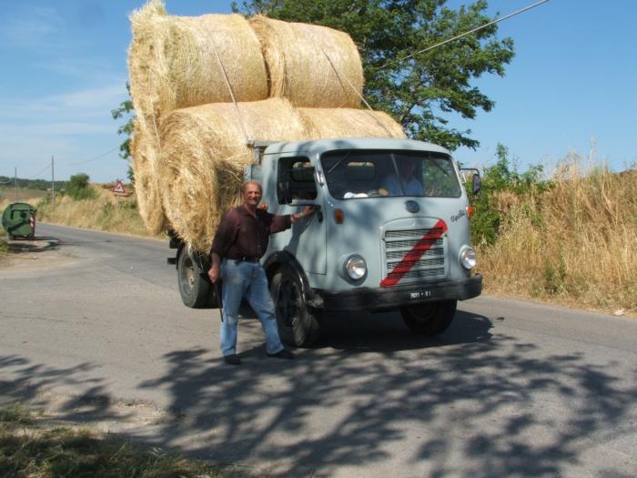 un tigrotto ancora arzillo