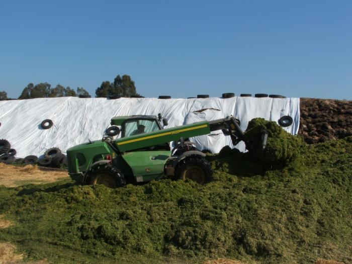 muletto johnn deere 3420 alla prese con il silos erba