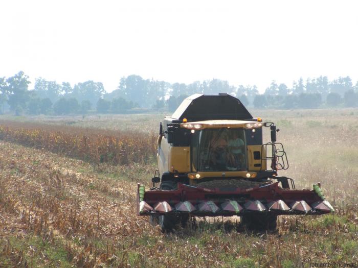 new holland cx860 con testata raccoglimais 