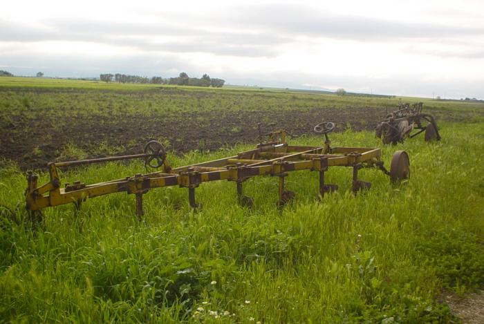 Azienda Agricola Puglise