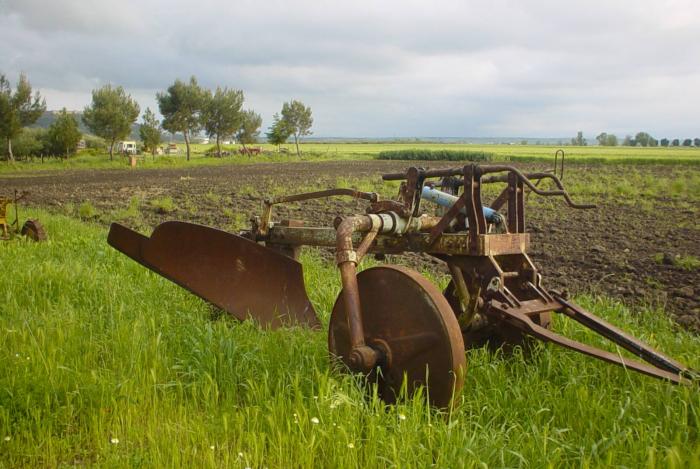 Azienda Agricola Puglise