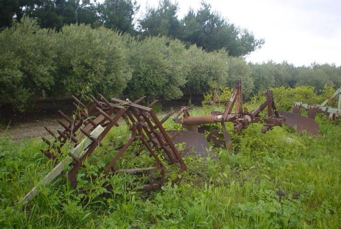 Azienda Agricola Puglise