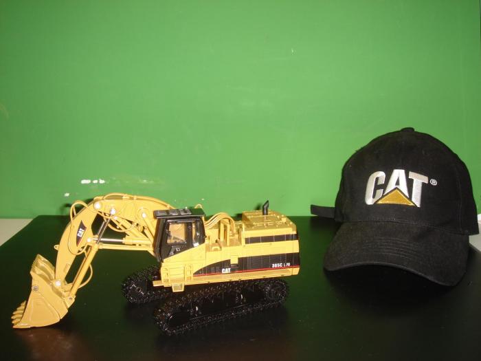 cat 365c.JPG