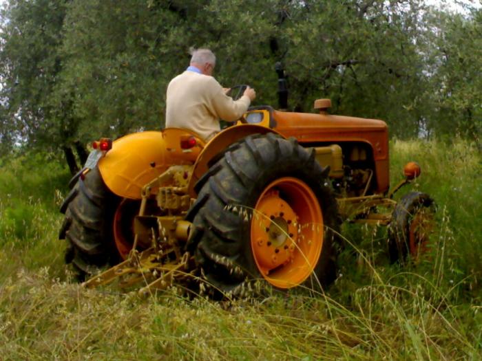 Restauro OM513R di VivaLaFiat