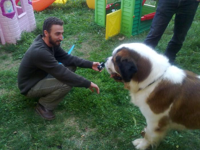 Pothionkinson cerca di ipnotizzare il cane