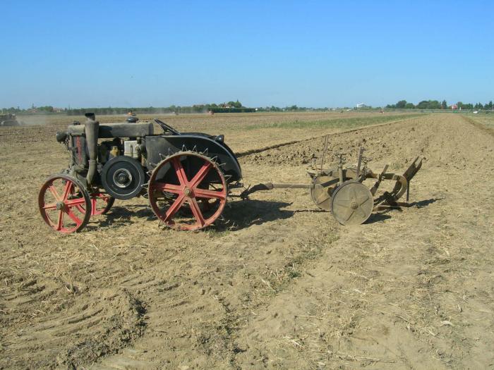 Landini Testacalda