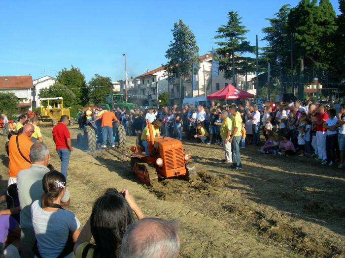 Fordson Major contro Fiat 25C