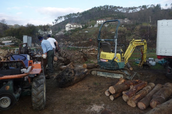 cantiere forestale "fai da te"