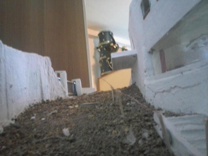 CAM00073.jpg