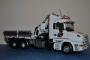 Scania musone Despe