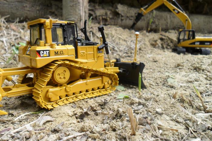 cat d6 2.JPG