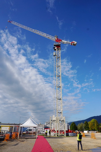 Terex