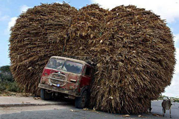 trasporto!!!!!!!!!!!!!!!!!!!