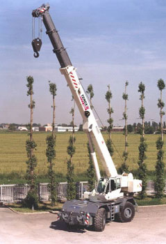 terex