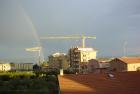 Gru con Arcobaleno (2)