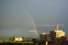 Gru con arcobaleno (3)