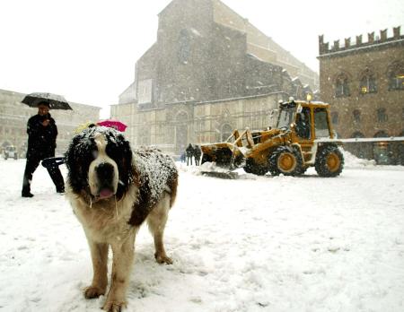 Bologna innevata