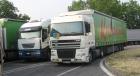 Iveco Stralis e DAF XF