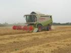 claas lexion 420