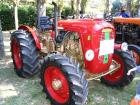 Carpi 27-08-2006