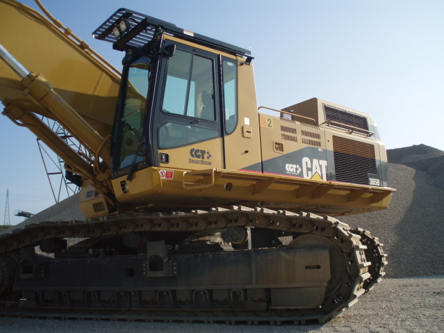 cat 365